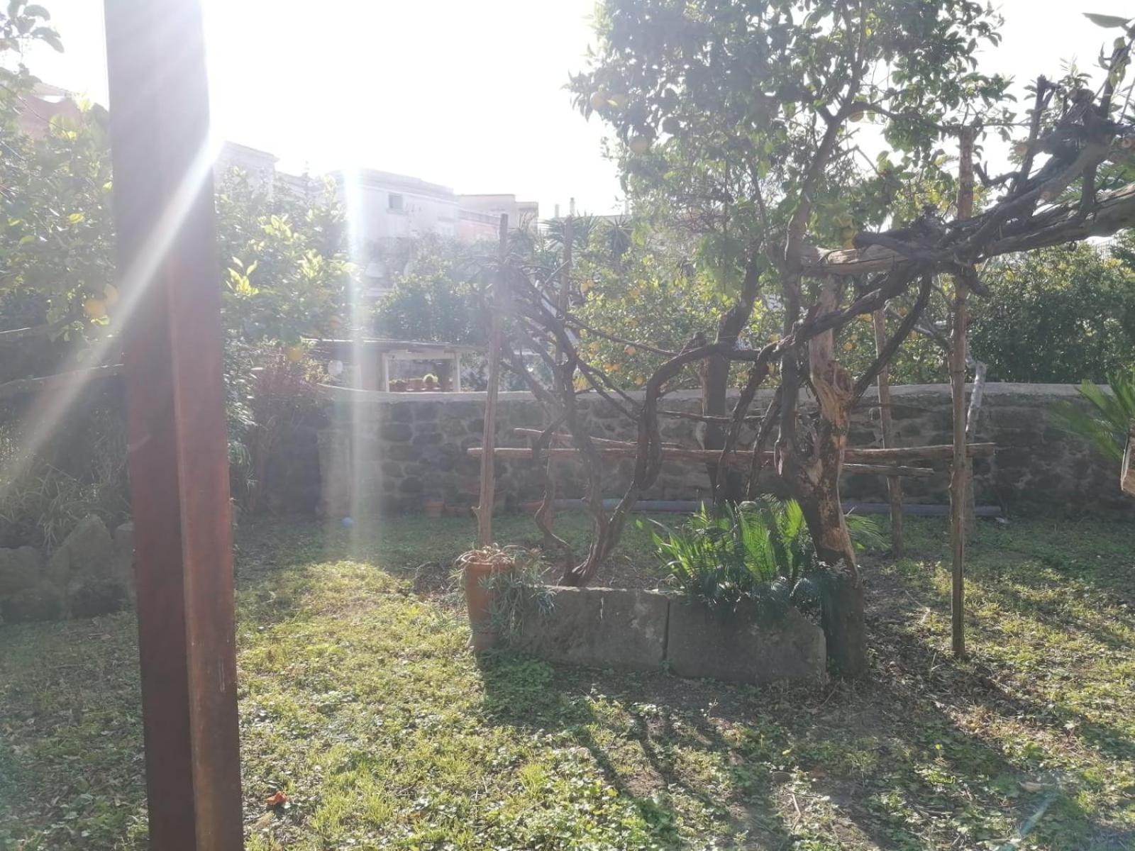 Dimora Coloniale B&B Forio  Luaran gambar